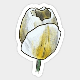 Tulip Sticker